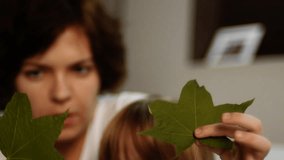 Stock video footage family. girl with mum looks over herbarium