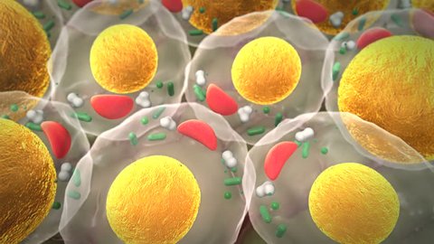 cholesterol, cell structure, High quality 3d render of fat cells, cholesterol in a cells, field of cells, Cell division, Microscopic image of cells, Cells,  Medical video background
