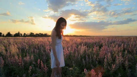 Young girl walking and collecting lavender flowers in the field at sunset.