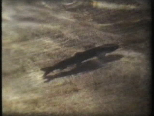 A shot of a school of fish big and small at a hatchery in South Dakota.