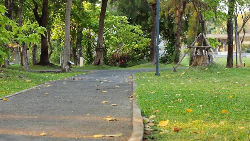 Bicycle lane in the park.Timelapes.