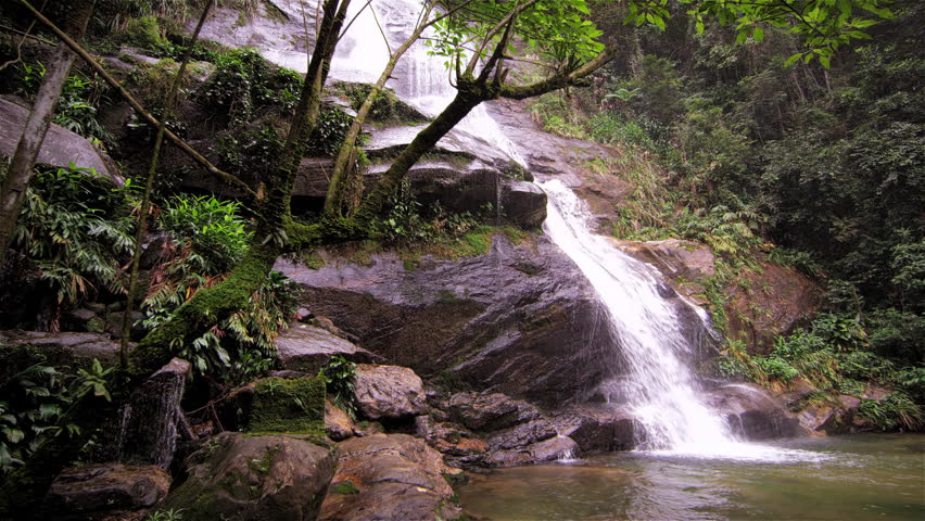 Tracking shot of a jungle cascading down a dark rocky outcropping into a dark