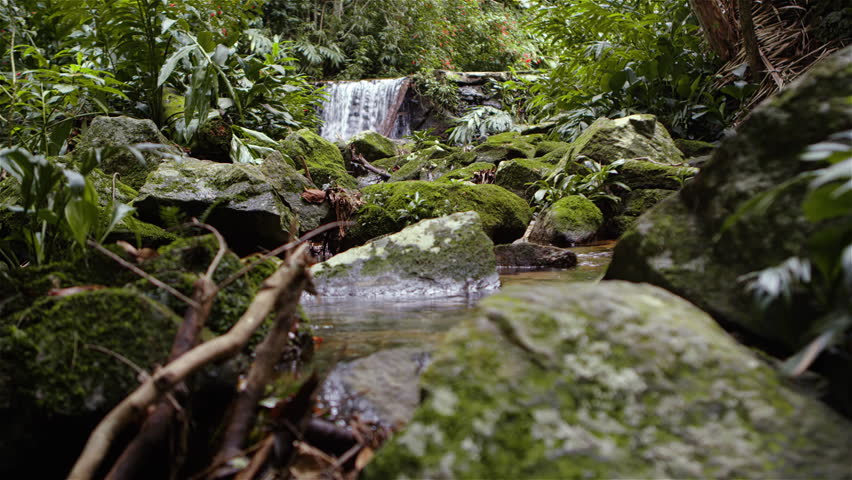 Tracking shot of a waterfall in the jungle.