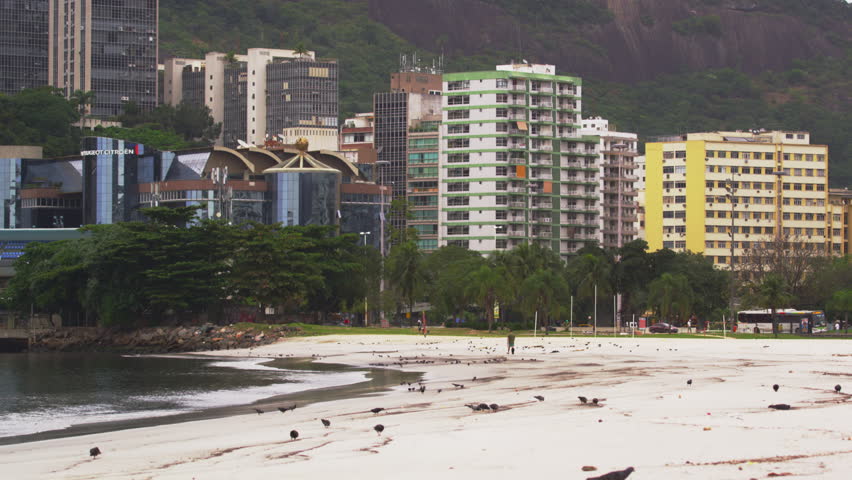 Pigeons walking along the seashore in Rio de Janeiro, Brazil