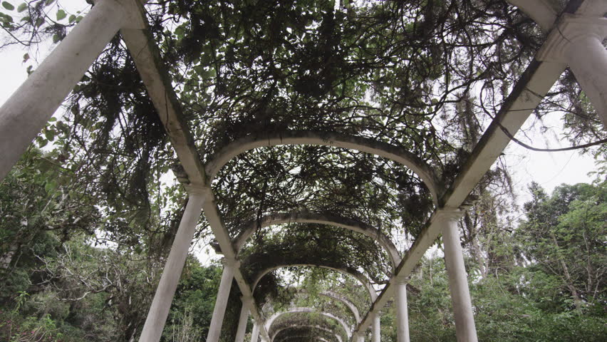 Tracking shot along path beneath arches at the Jardim Botanico in Rio