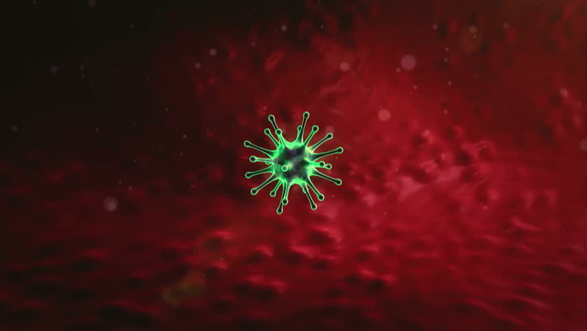 current worm virus