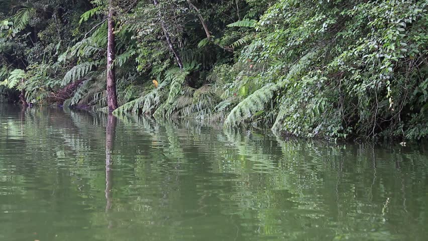 Lake Balinsasayao in Dumaguete on Negros Island, Philippines