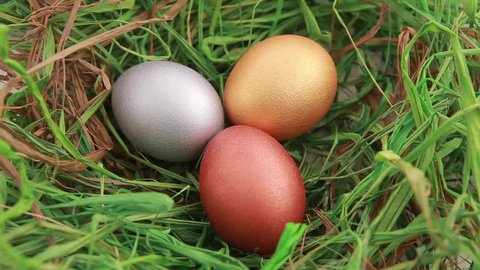 Three Golden Easter eggs on grass วิดีโอสต็อก