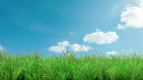 gorgeous blue sky with zoom green grass animated