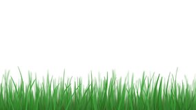 Grass on white background. Loop-ready clip of grass weaving under a light breeze.