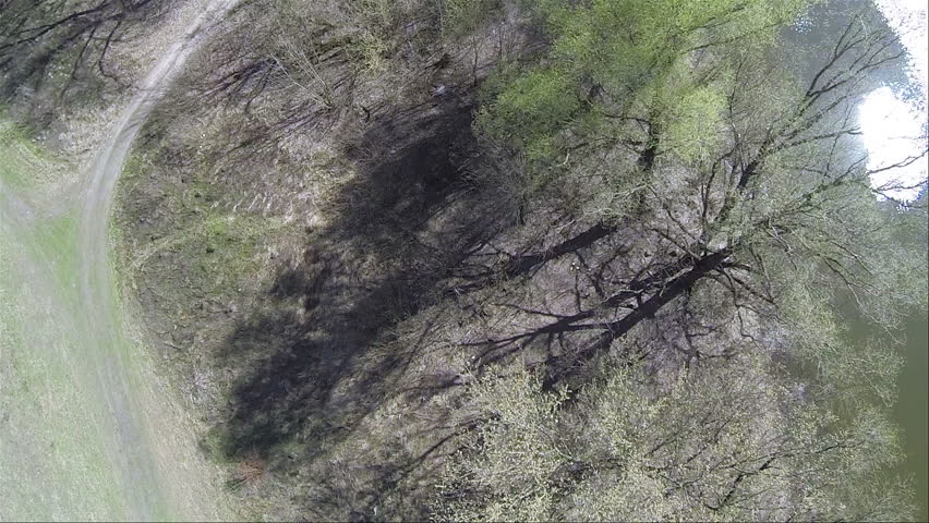  river bank with trees. Aerial 