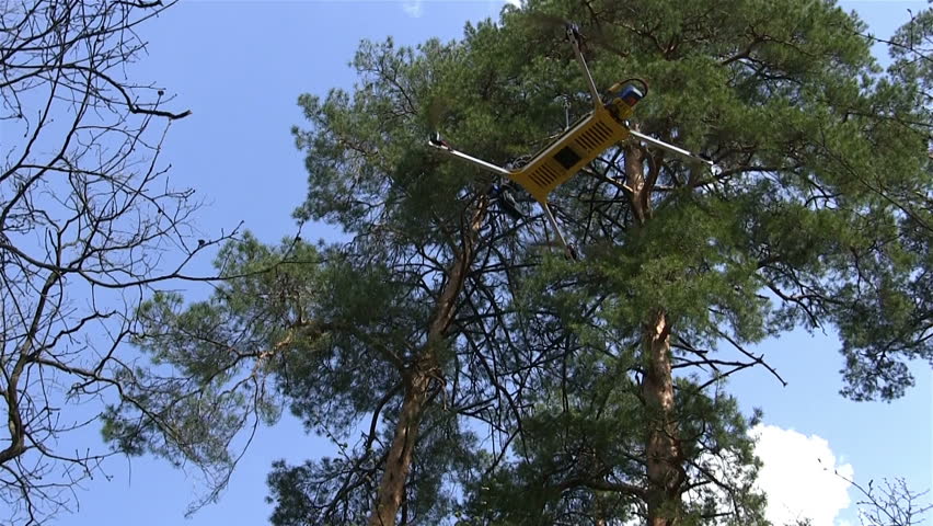  Small copter\drone fly  in wood