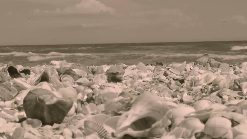 Black Sea in april (sepia) 