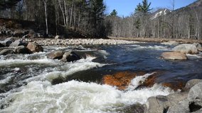 HD-video of pristine stream / river landscape in forest