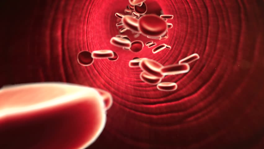 blood cell fragments used to clot blood are called