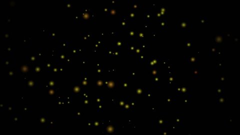Fast Motion Bright Firefly On Black Stock Footage Video (100% Royalty ...