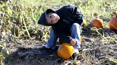 Cute boy sitting on pumpkin
