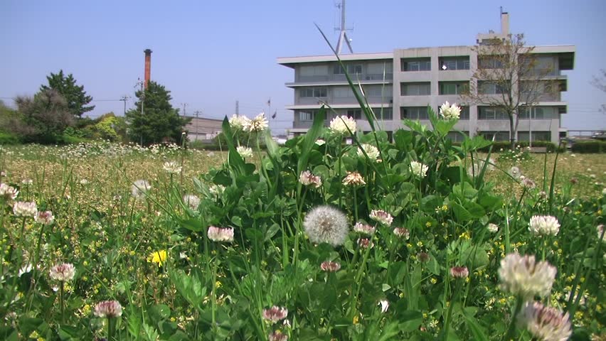 Constructions and nature vertigo effect.