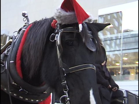 Christmas Horse and Carriage Ride - clip 1 of 2
