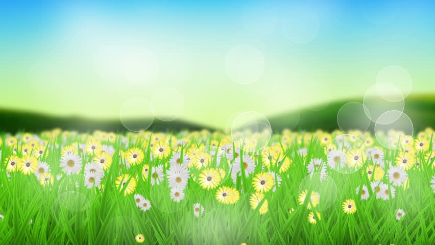 Spring Summer Background Animation Suited for Stock Footage Video (100% ...