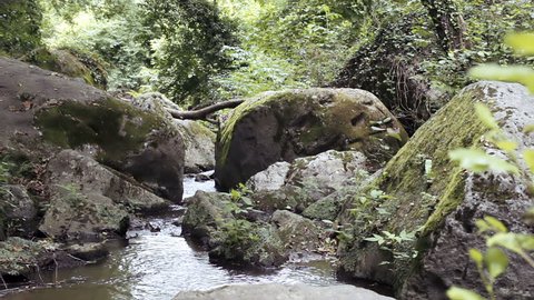 man walks barefoot in the branch - water - stream - river - creek