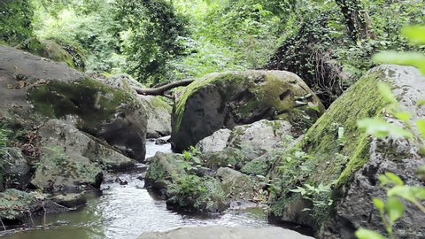 boy walks barefoot in the creek - water - stream - river - branch