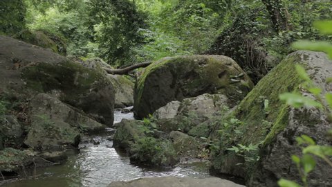 guy walks barefoot in the stream - water - branch - river - creek