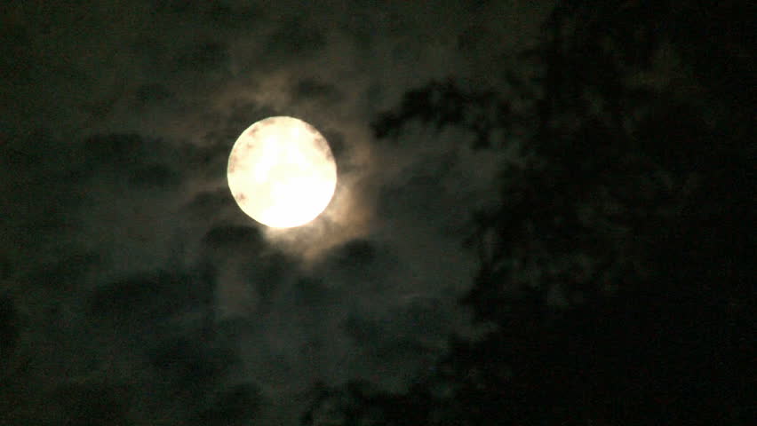Full moon on cloudy night with willow tree leaves blowing in wind.