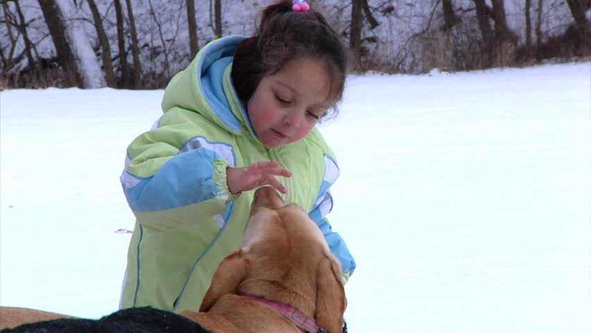 A little girl plays with two dogs in the snow.