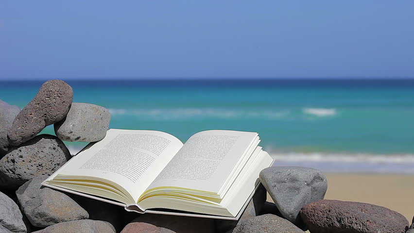 Book On the Beach. Relax : Video de stock (totalmente libre de regalías) 6202124 | Shutterstock