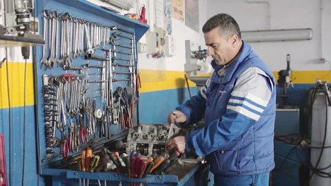 auto mechanic repairing a car engine - dolly