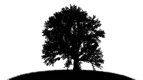 growing tree silhouette - CGI