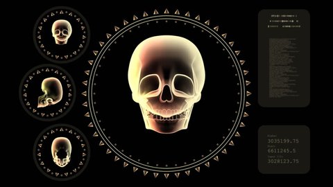 Hi-tech Scan Screen - Skull 01 (HD) - 3D animation. Medical, scientific, sci-fi, crime or hi-tech background. Screen with spinning skull and rings. Alpha included. Loop.