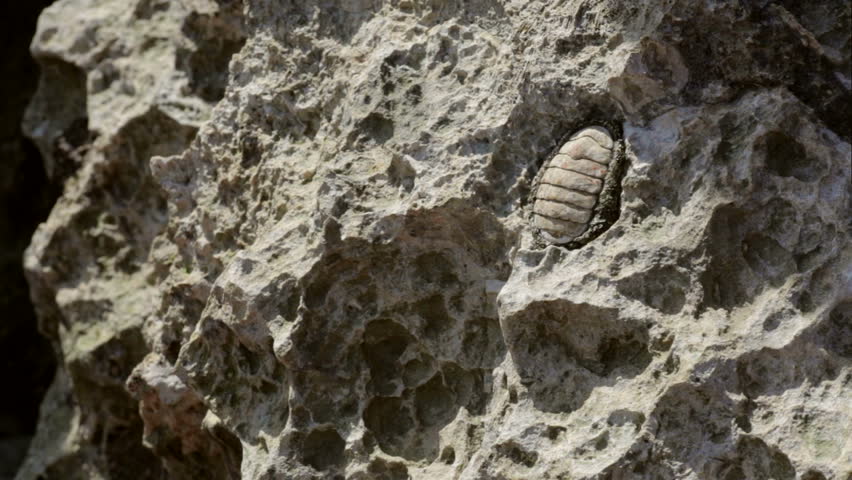 gray stone texture background
