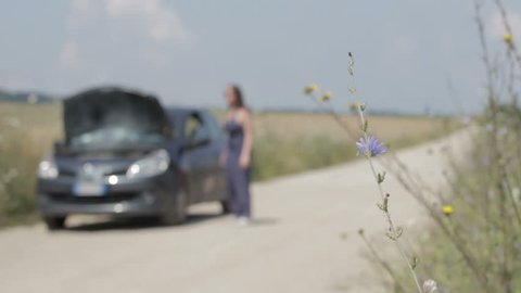 broken down car on a country road, focus on flower