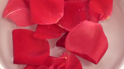 Rose petals drop in bowl of water