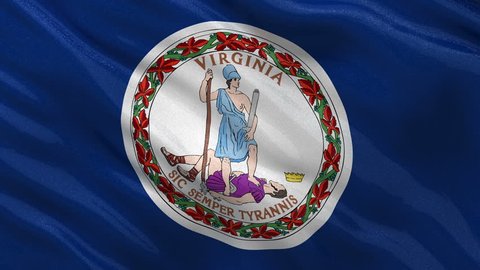 US state flag of Virginia gently waving in the wind. Seamless loop with high quality fabric material.