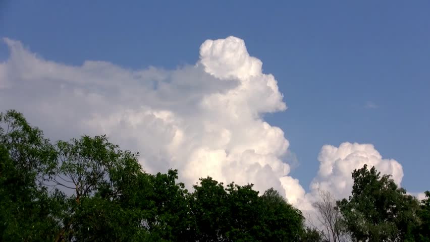 Clouds over the trees