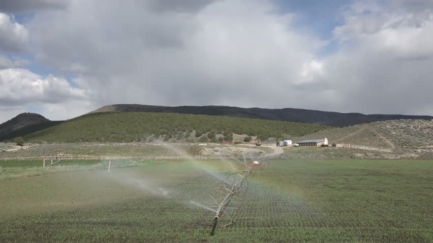 Farm irrigation sprinklers rainbow mountains 4K. UHD crop sprinkler irrigation. Farmer irrigation sprinkler turning in new planted spring wheat and grain green field.  Rainbow in mist of water mist.