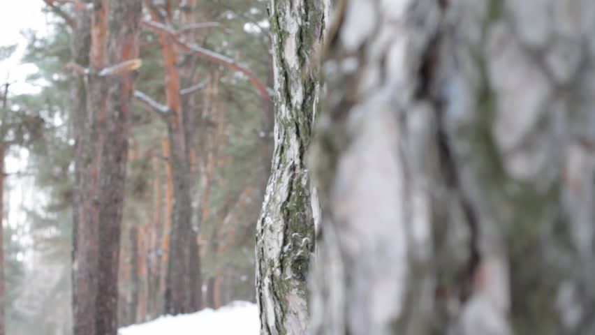 woman shows gesture in winter wood. 