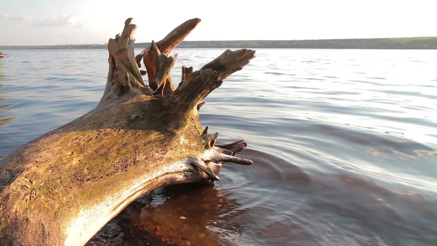 Old log over the lake