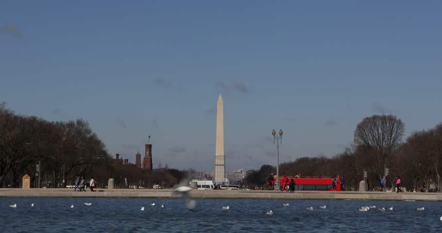 Washington DC Skyline, Monument, National Mall, Seagull, Pool, Double Decker Bus ( Ultra High Definition, Ultra HD, UHD, 4K, 2160P, 4096x2160 )
