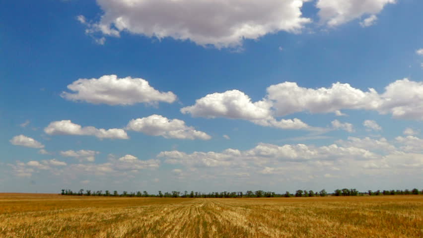 hd wheatfield after harvest blue sky Stock Footage Video (100% Royalty ...