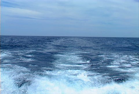 View from the rear (stern) of a fishing boat, cutting across the Sea of Cortez, in Baja California.