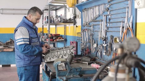 the work of Auto mechanic - Auto mechanic repair - dolly