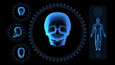 Hi-tech Scan Screen - Skull 04 (HD) - 3D animation. Medical, scientific, sci-fi, crime or hi-tech background. Screen with spinning skull, man body and rings. Alpha included. Loop.