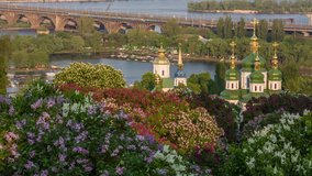 Kiev, flowering lilac in the National Botanical Garden