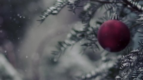 Winter Scene - Slow Motion Snow - Christmas Season and decorations. วิดีโอสต็อก