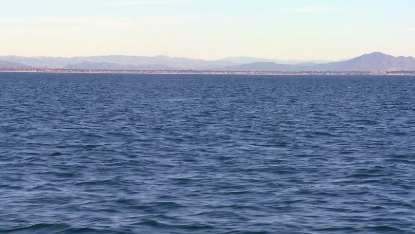 SANTA BARBARA, CALIFORNIA CIRCA 2013 - A whale blows through its blow hole, dives, and splashes with its tail off the coast of Santa Barbara, California.