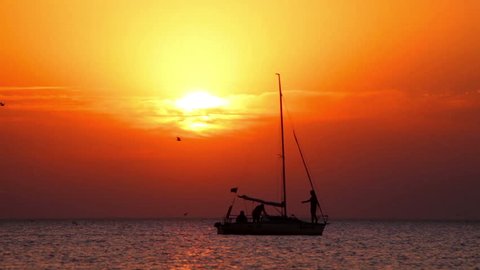 Boat at sunset/Yacht sailing at sea sunset/Sailboat at lake at sunset/Boat sailing at sea sunset/Sailboat silhouette/Birds flying over sea at sunset/Boat at lake sunrise